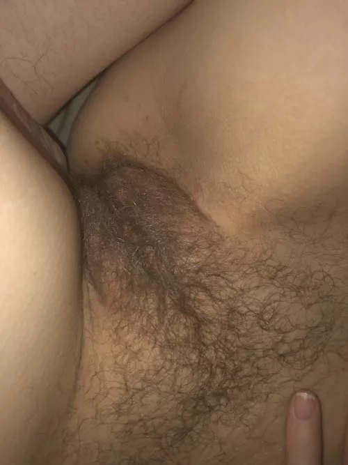 My hairy pussy My hairy pussy