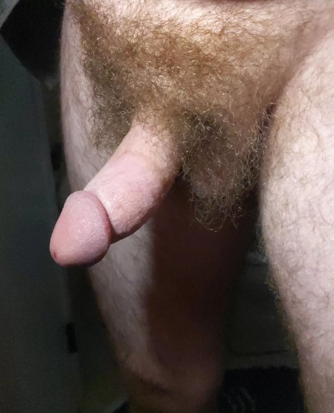 My hairy semi My hairy semi