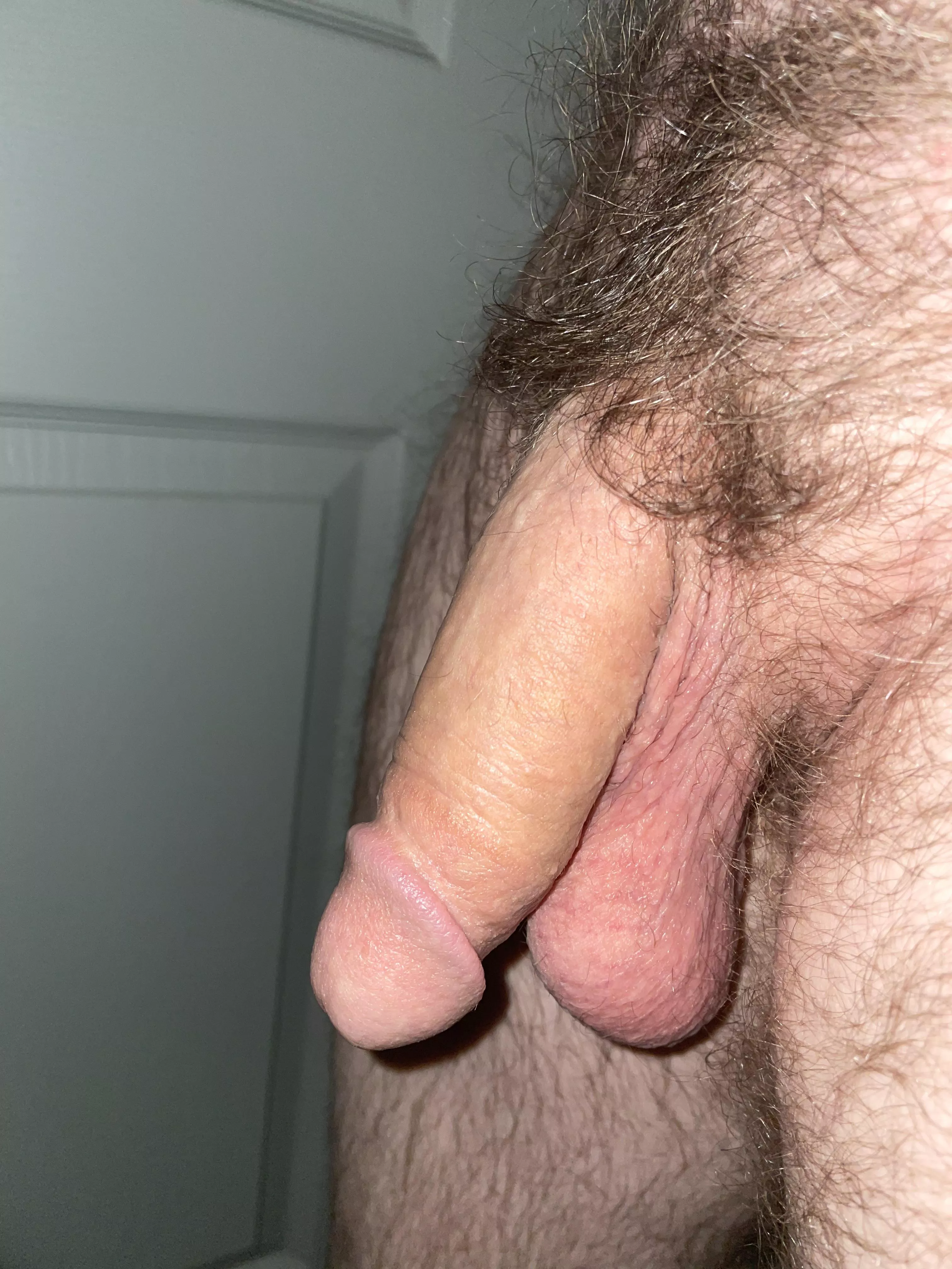 My hairy soft cock My hairy soft cock