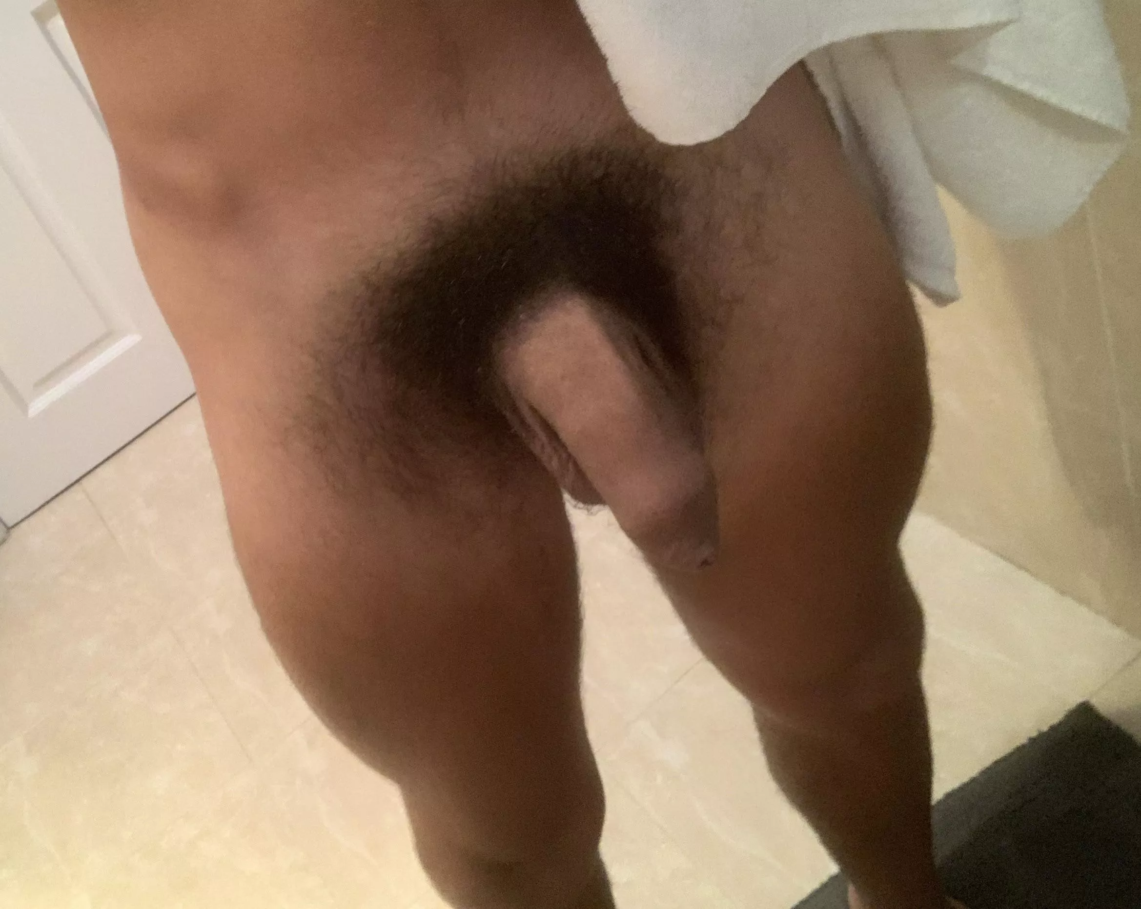 My hairy soft uncut cock fresh out of the shower My hairy soft uncut cock fresh out of the shower