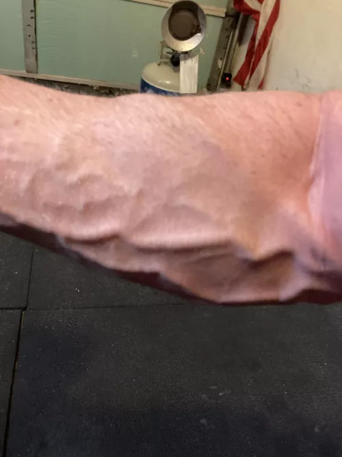 My humble forearm My humble forearm