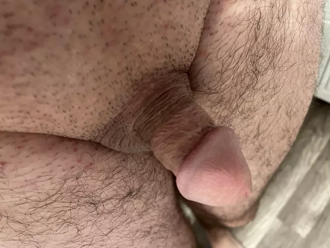 My little dick (29)