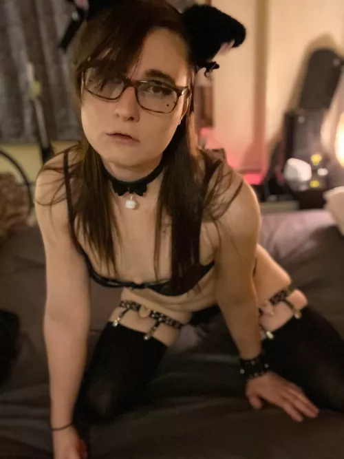 My little kitten mouth looks like it was made to be fucked doesn't it? My little kitten mouth looks like it was made to be fucked doesn't it?