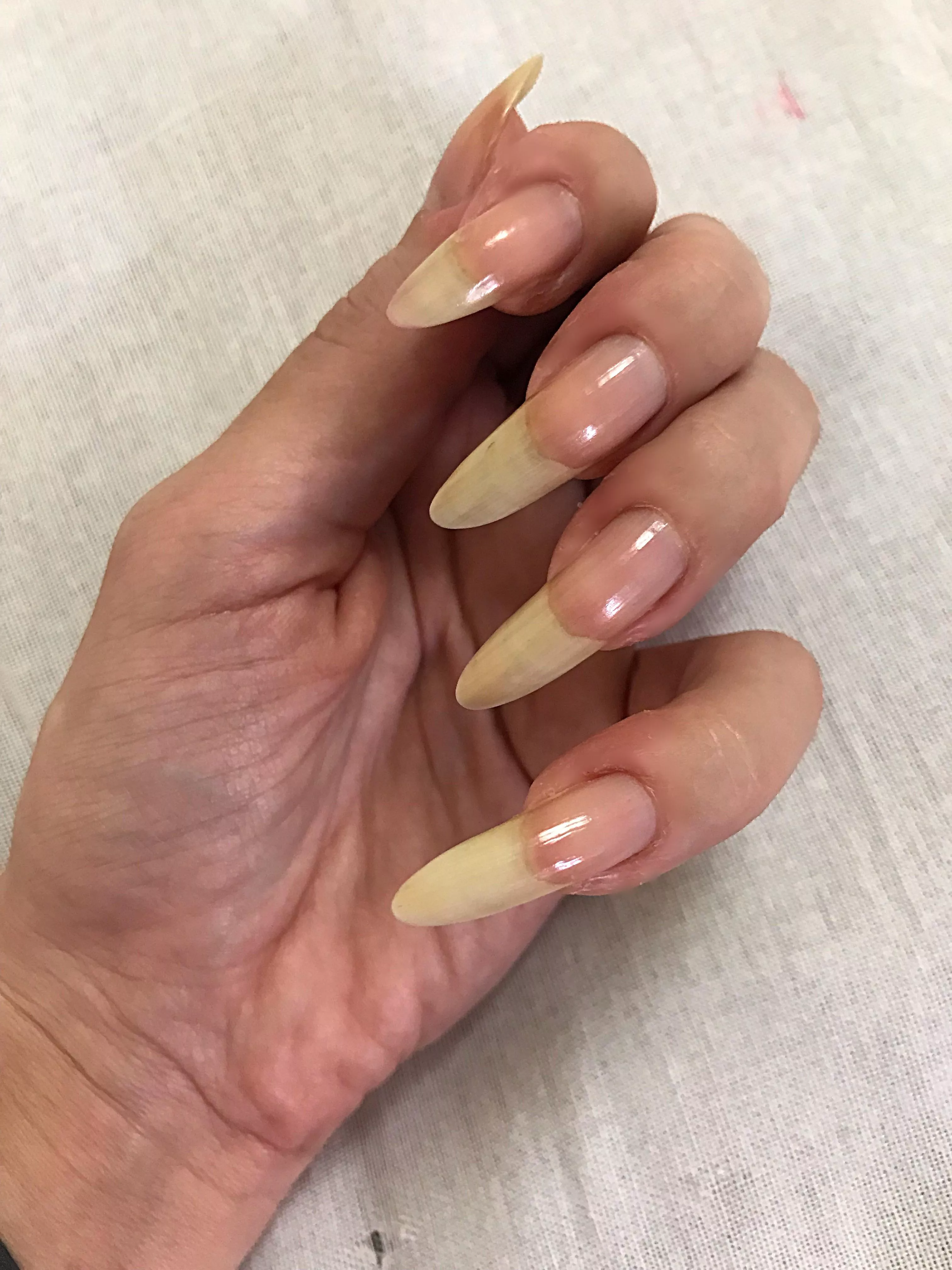 My long natural nails 💅🏻