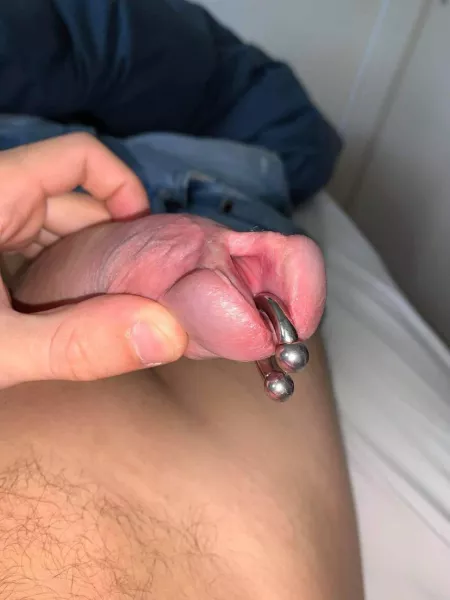 My modified cock pierced My modified cock pierced