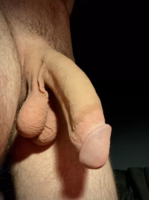 My morning semi