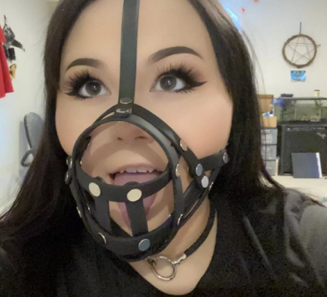 Muzzle Porn - My muzzle finally came~! What do you think? nudes : petplay | NUDE-PICS.ORG