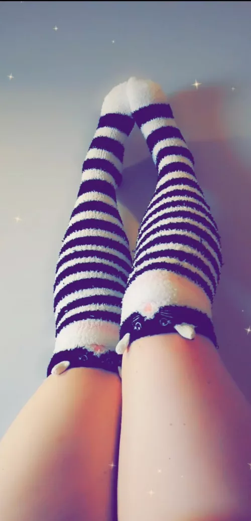 My neko fuzzies ????