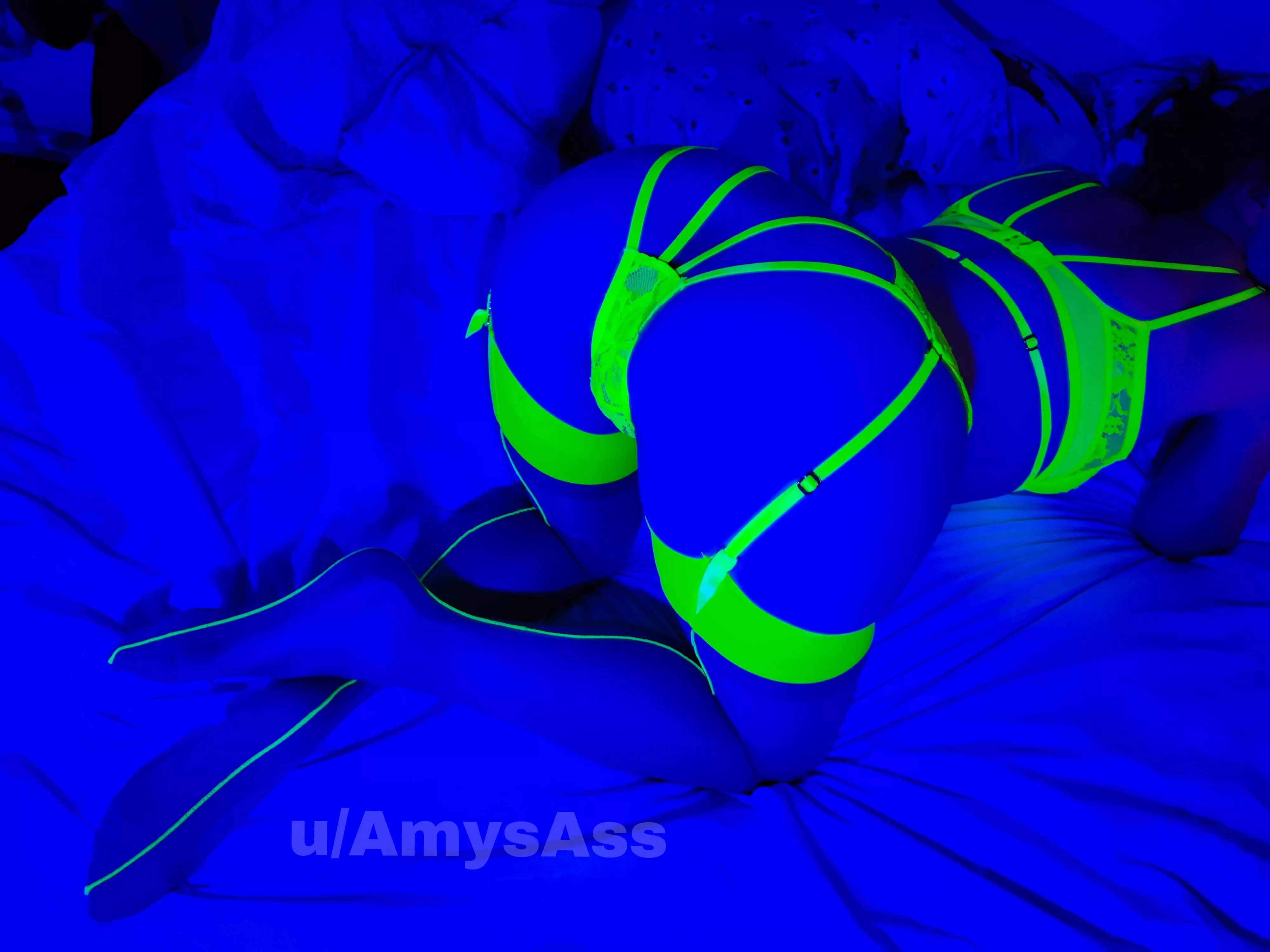 My neon Ass! My neon Ass!