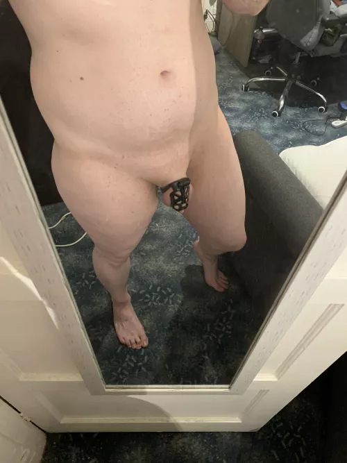 My new cage! You think it suits me ?🥺