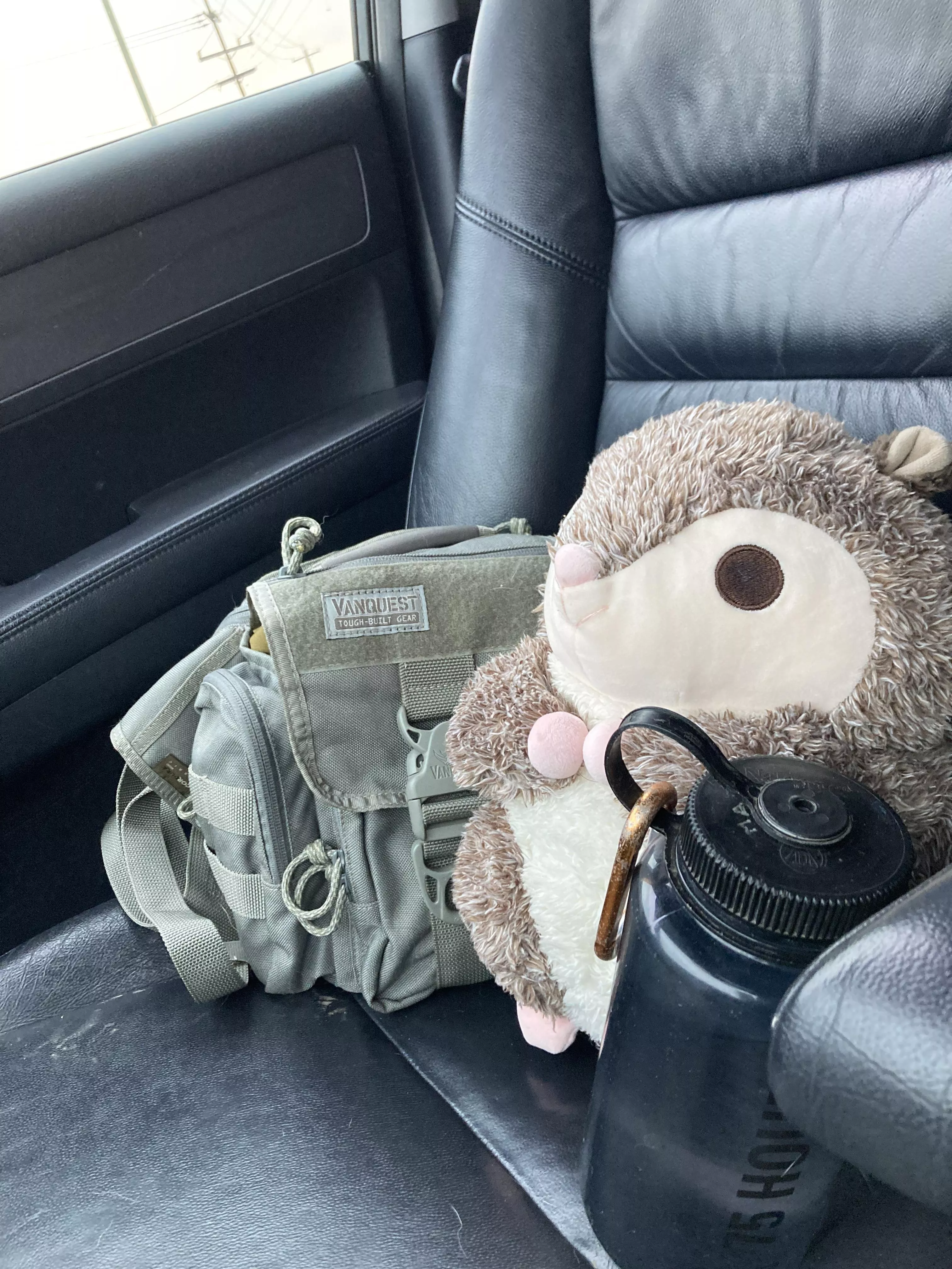 my new favorite stuffy from Daddy, Nip! 😊