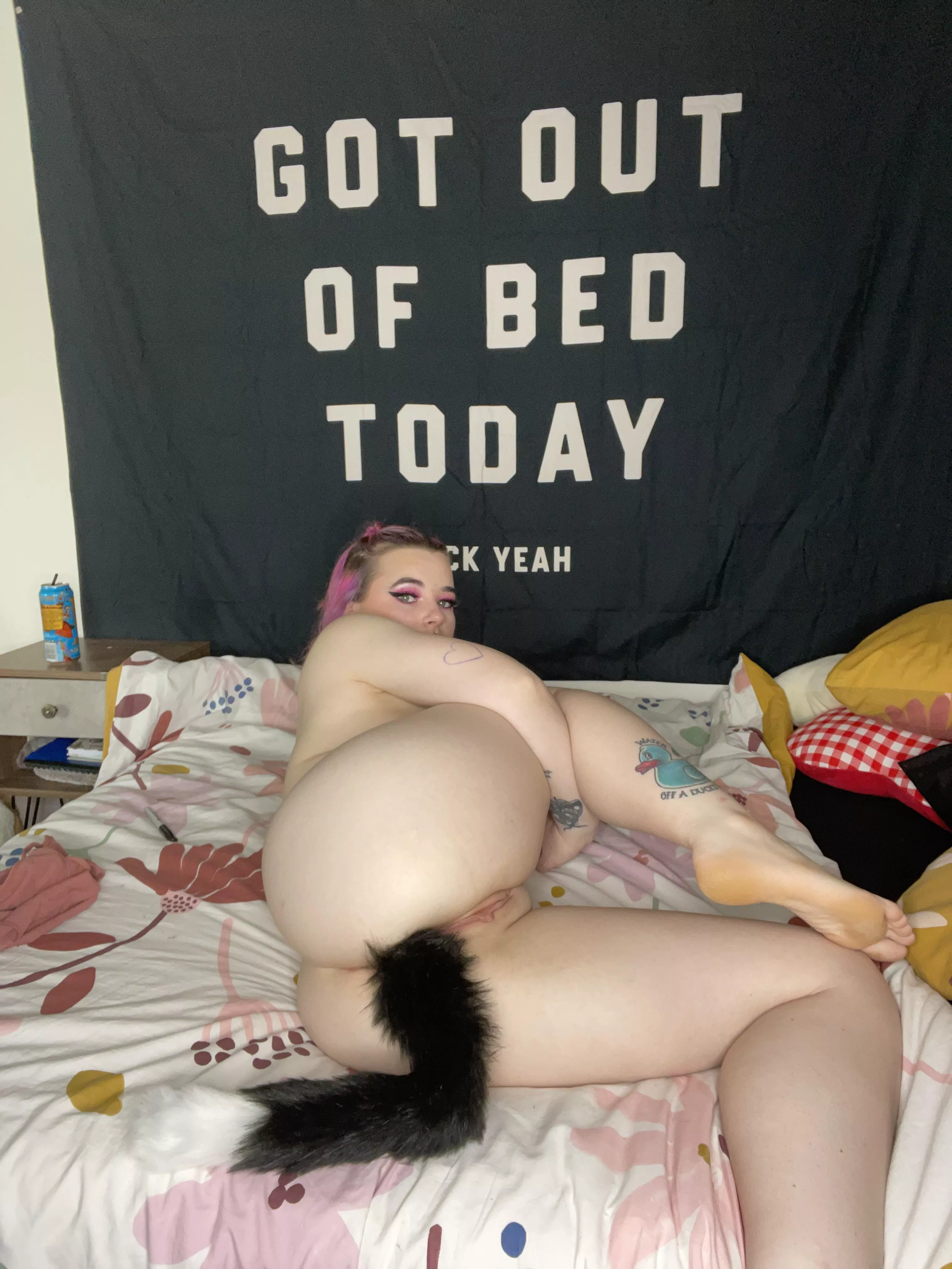 Buttplug Tail Porn Pictures