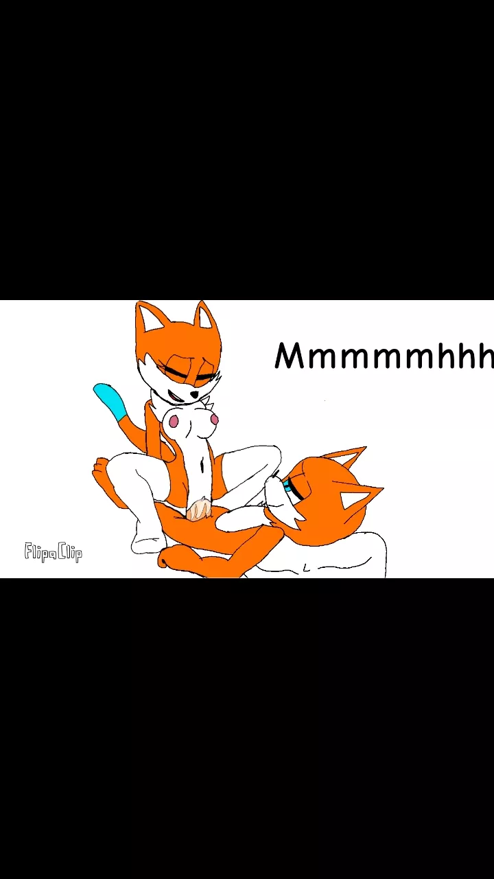 my oc woman and my oc man having sex, it's a video made by me but it won't let me post videos here (skechersunited gatitonsonic)