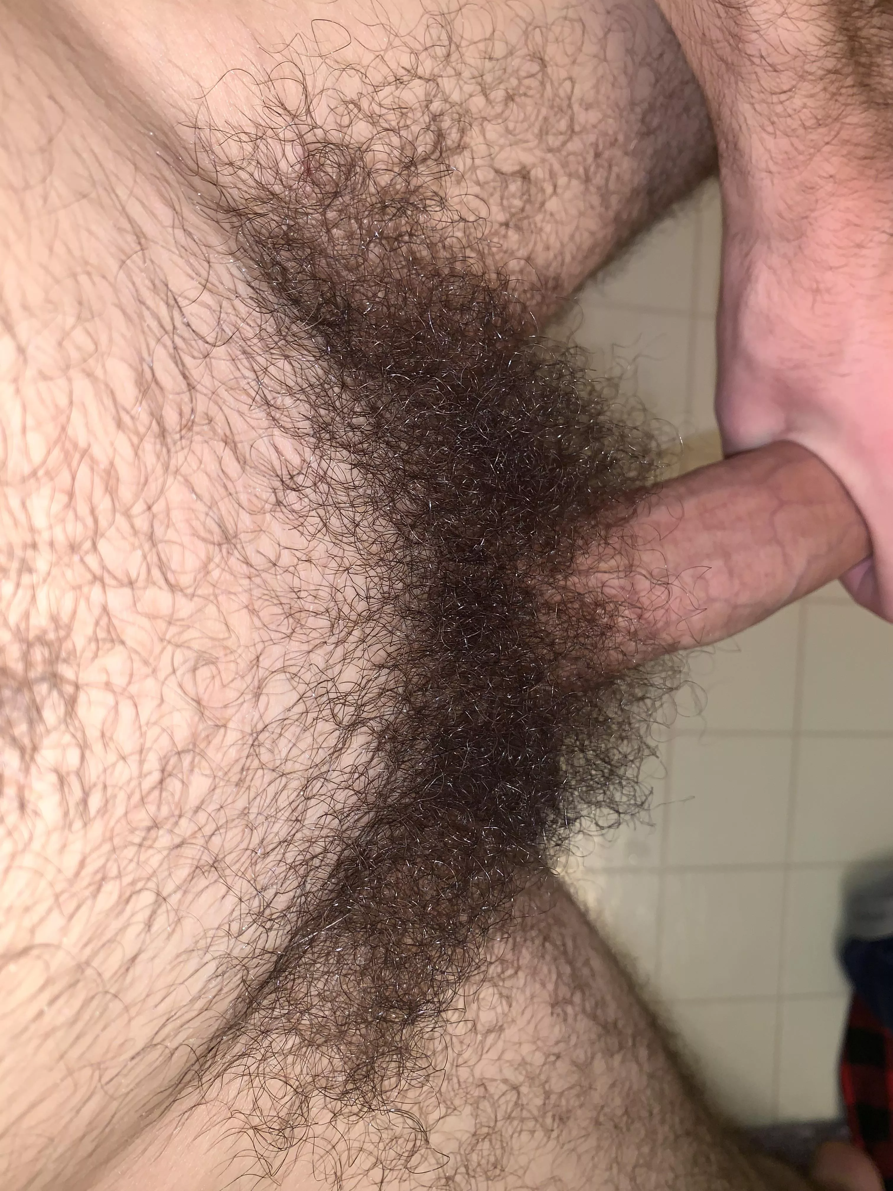 my pubes looking good today