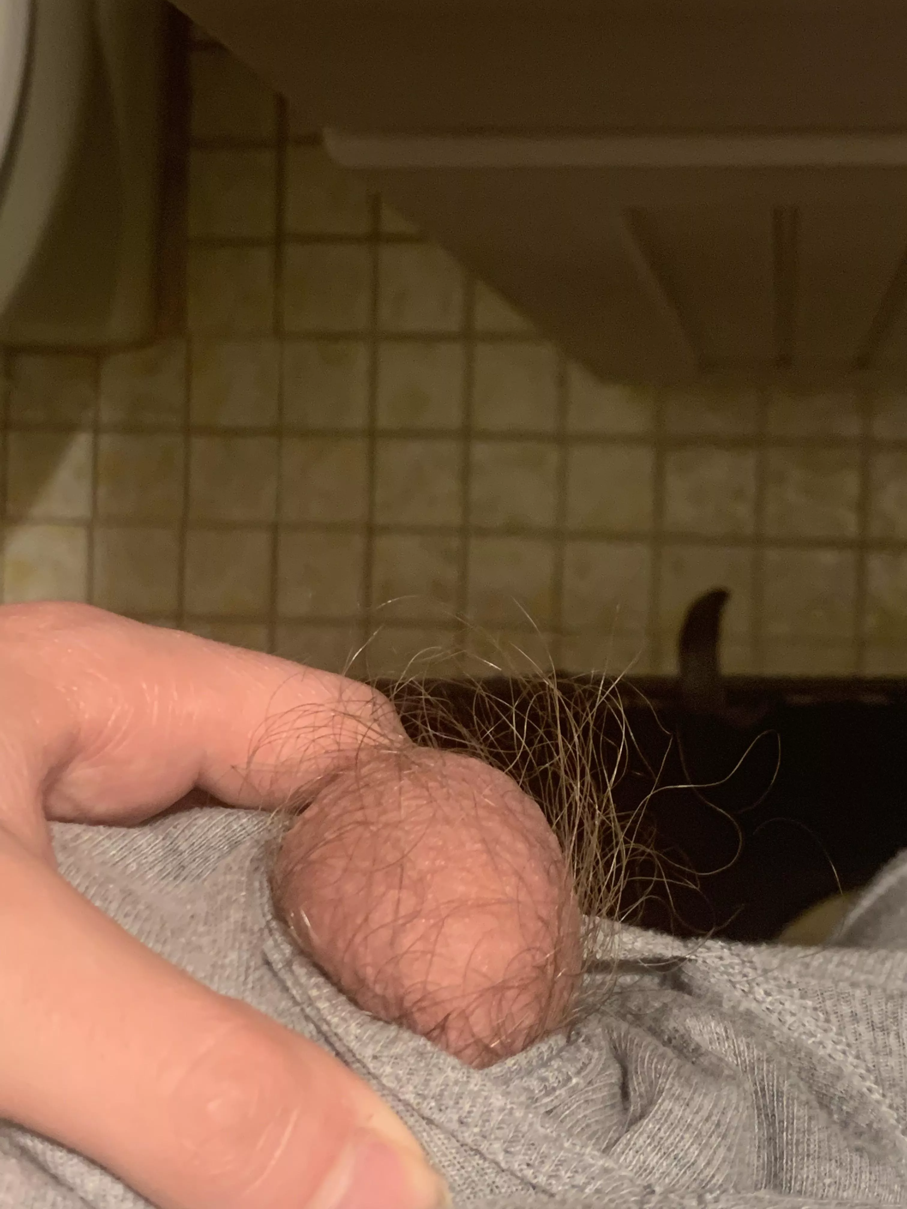 My right nut π₯ My right nut π₯