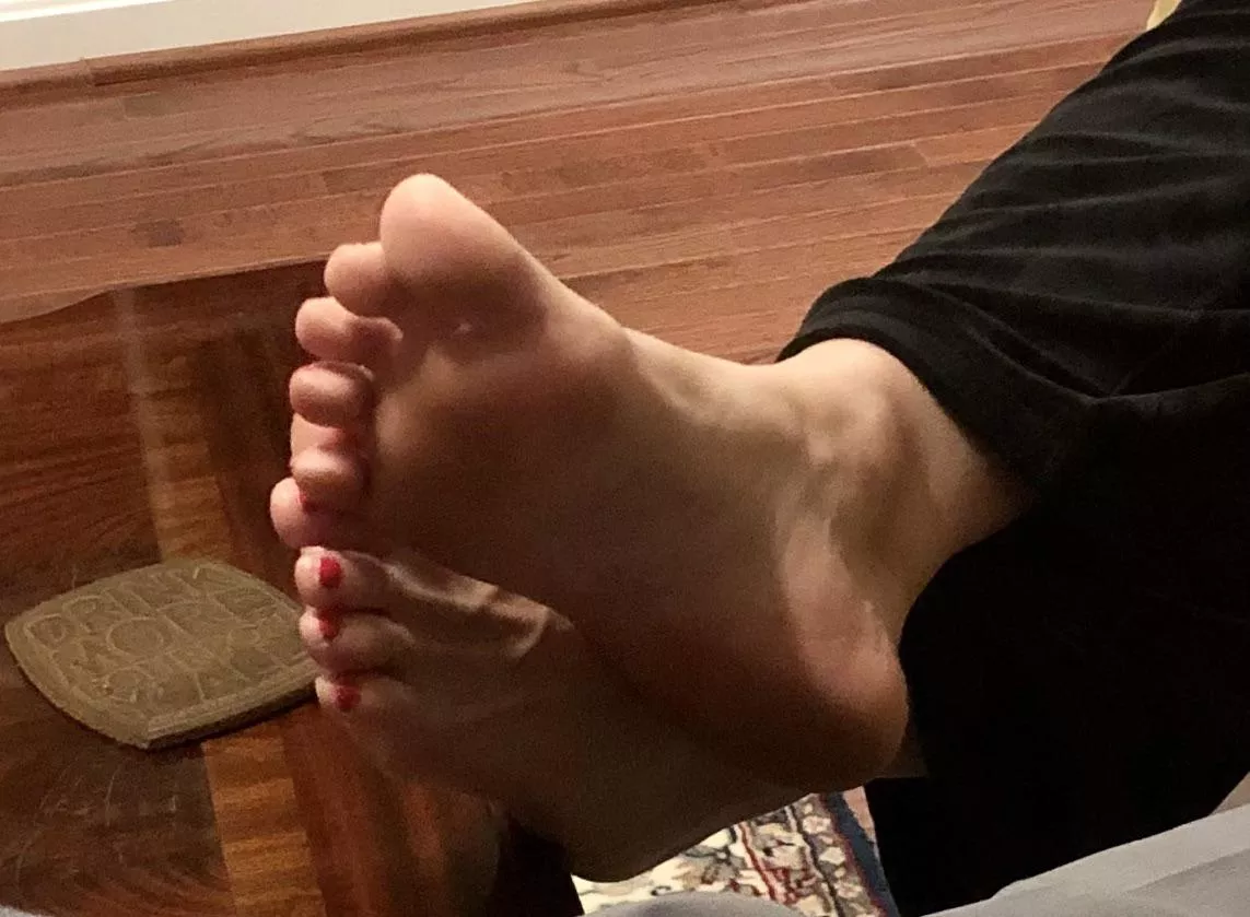 My SIL stopped over last night