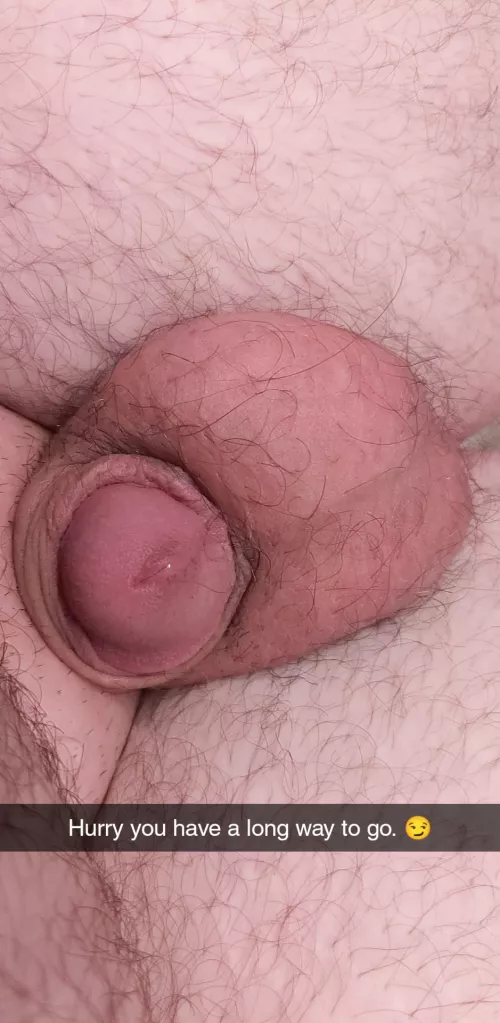 My sleeping cock [26]