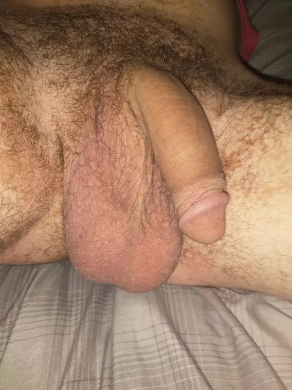 My soft cock My soft cock