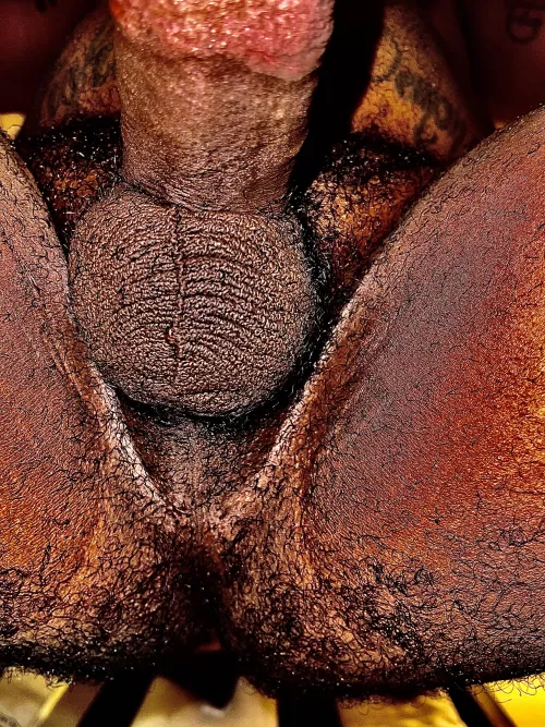 My taint and ass have been craving attention.