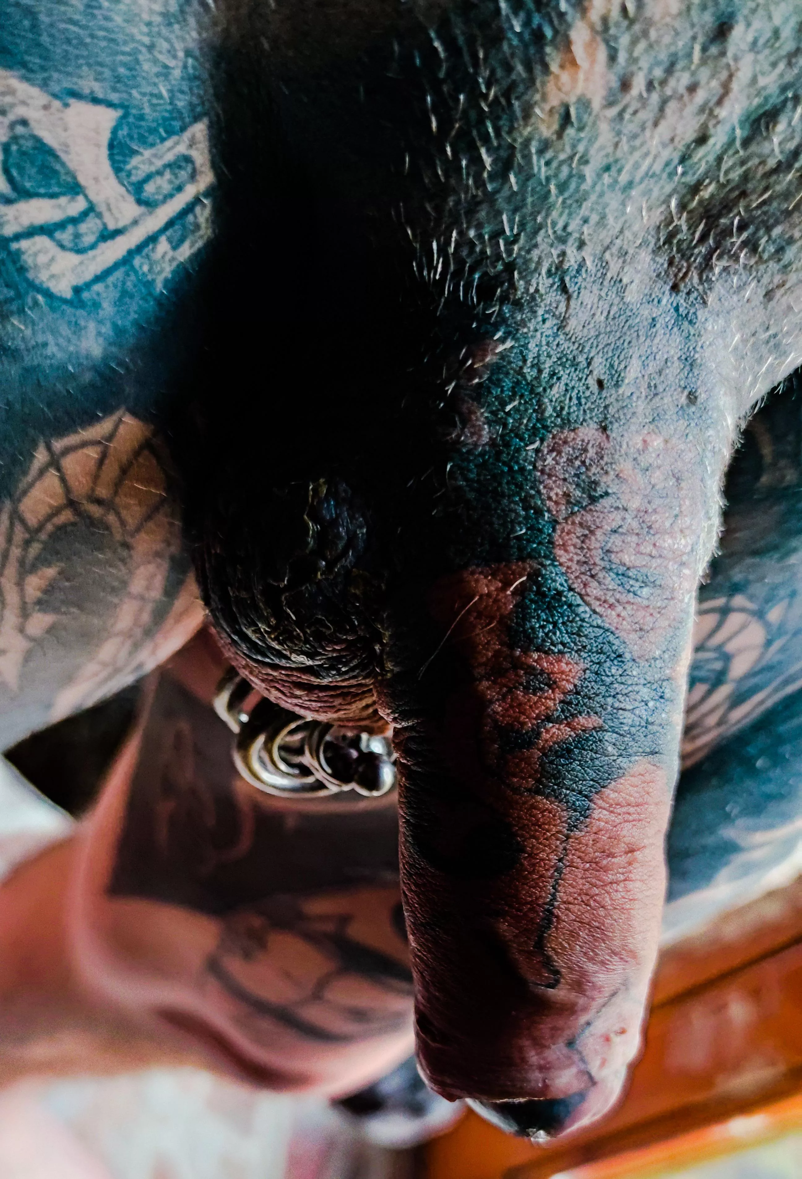 my tattooed fun stick my tattooed fun stick