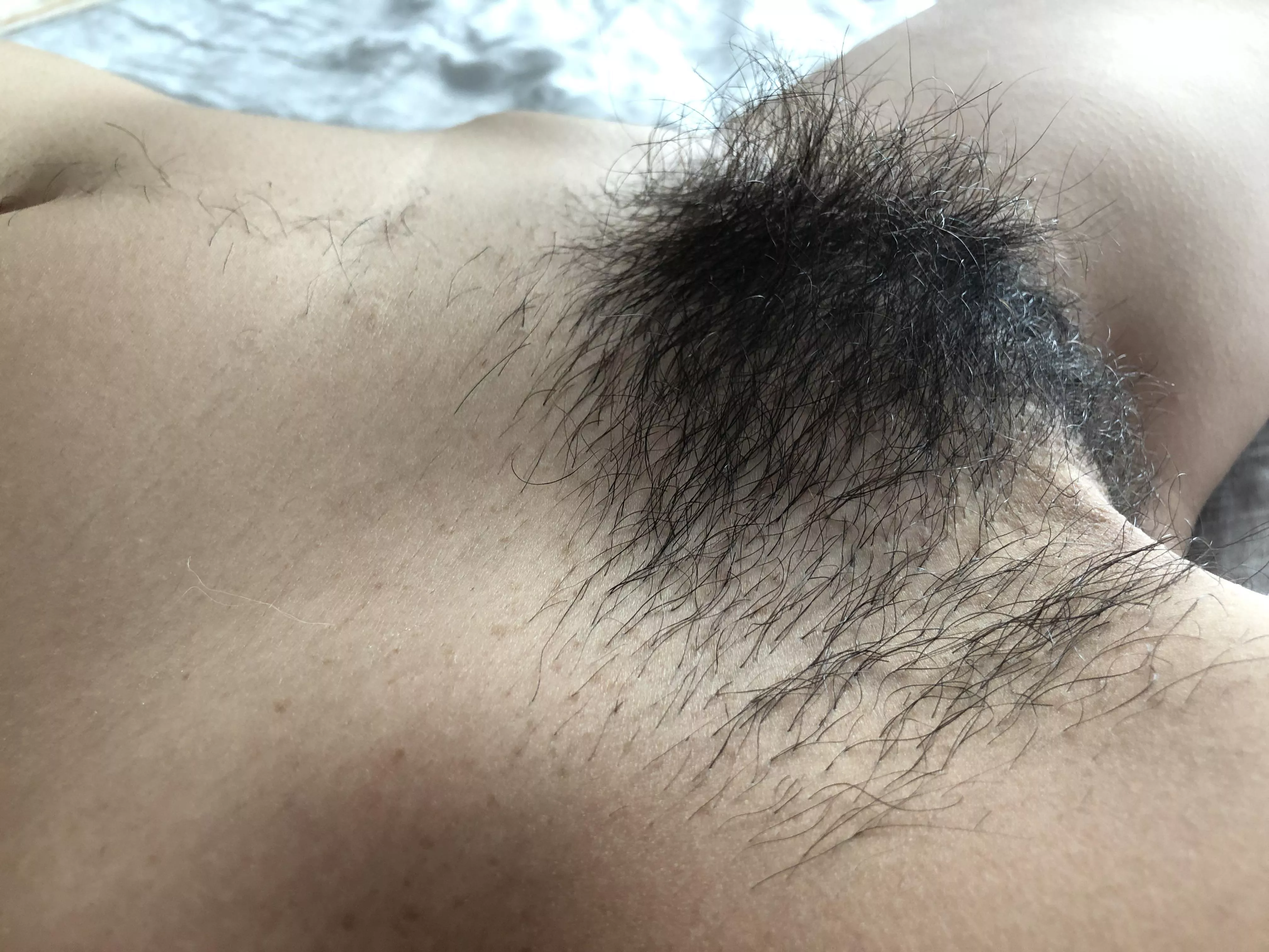 My thick fully grown bush! My thick fully grown bush!