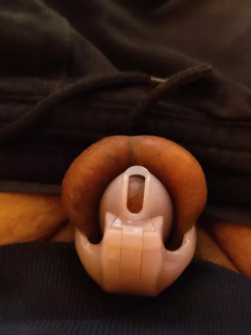 My tiny clit fitted in my new nano Chastity cage