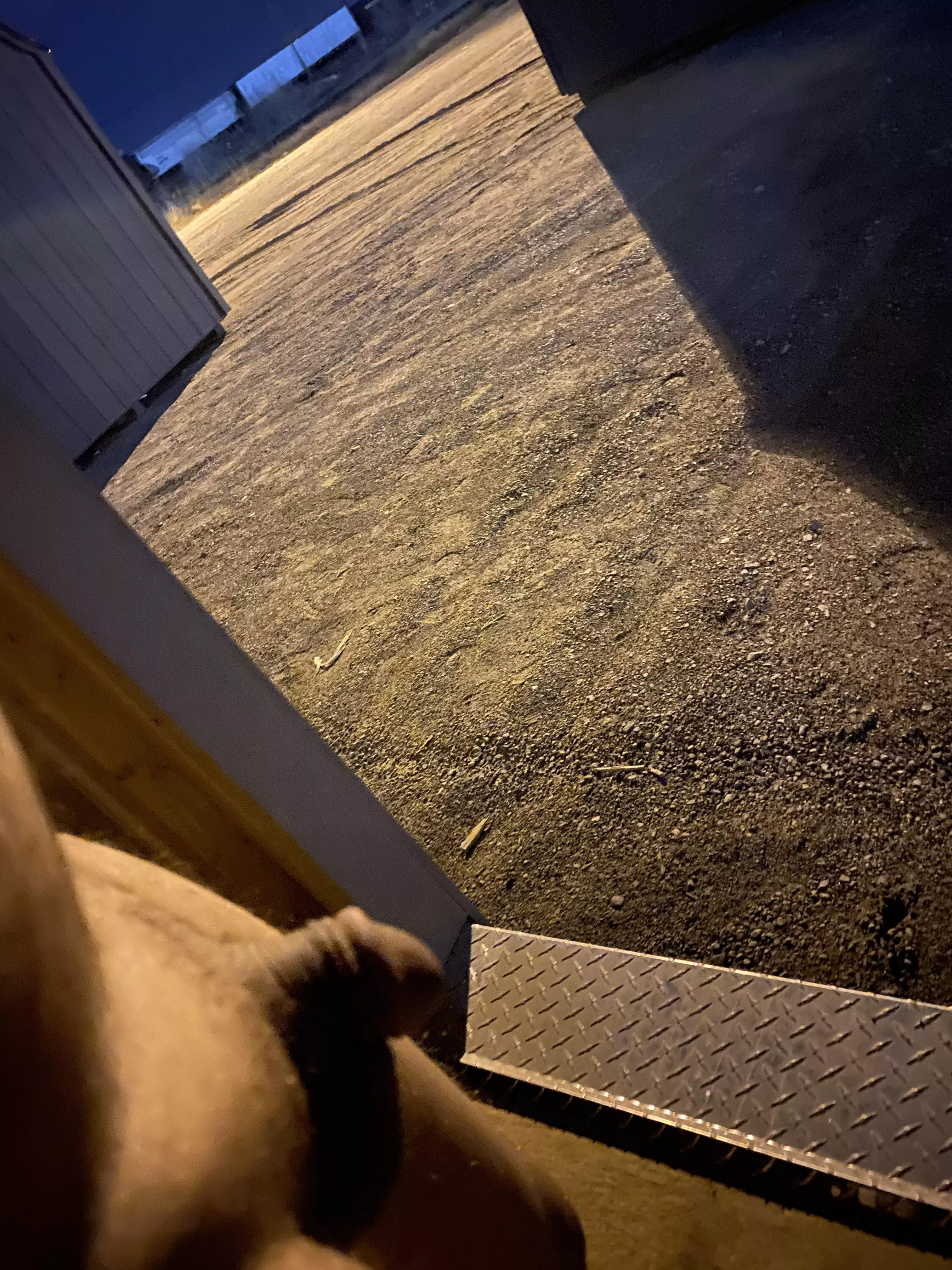 My tiny cock (30) My tiny cock (30)