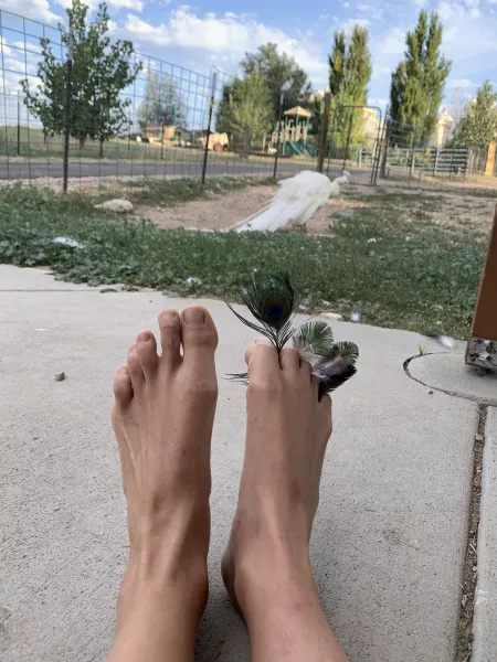 My toes are peacocking for you ;) My toes are peacocking for you ;)