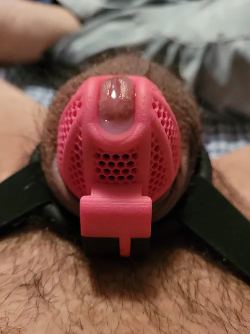 My Valentine's Day, in one photo