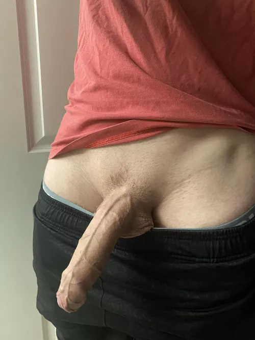 My veiny cock