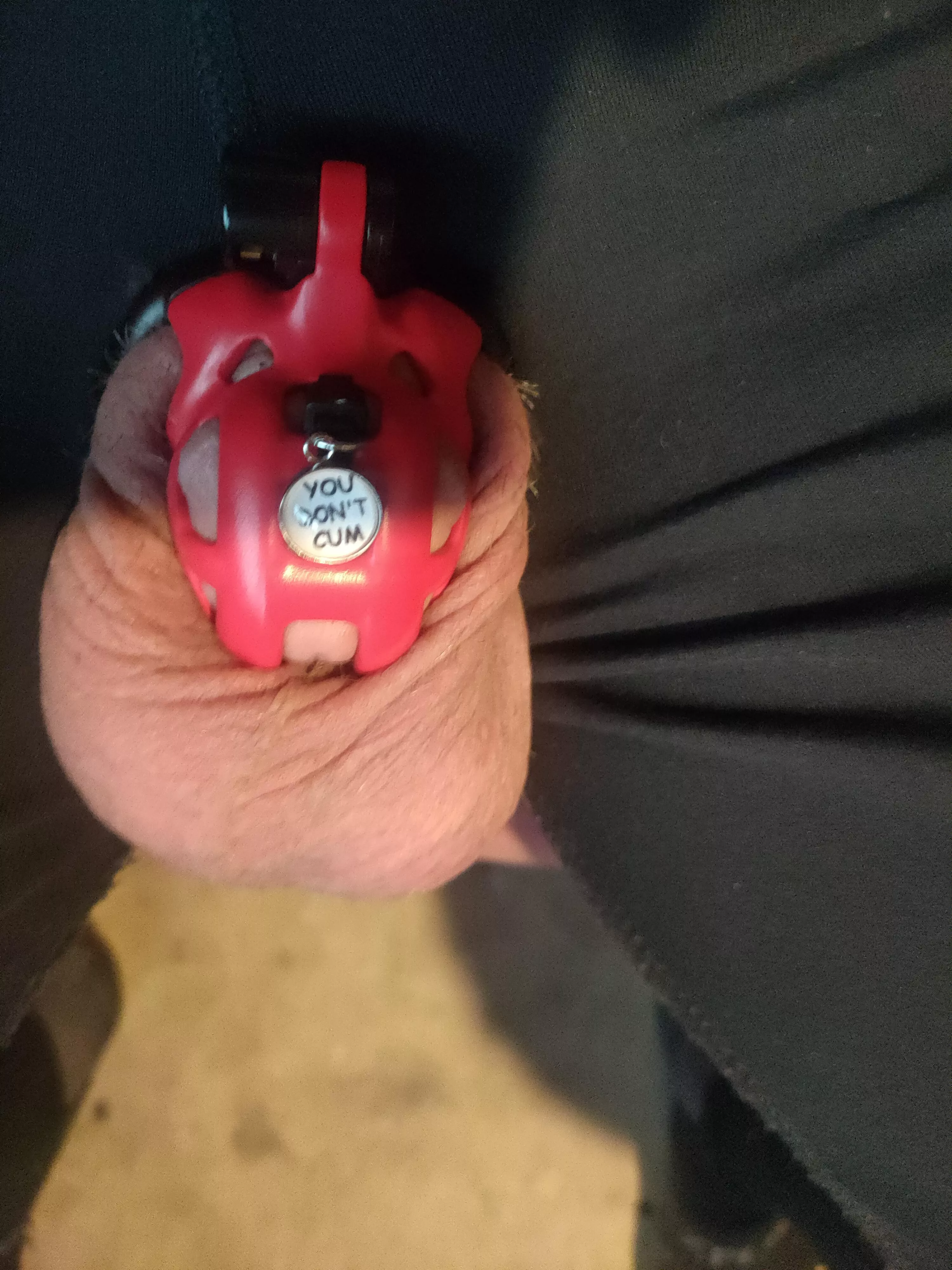 My wife bought me a tag for my cage ,she it's so I never forget.