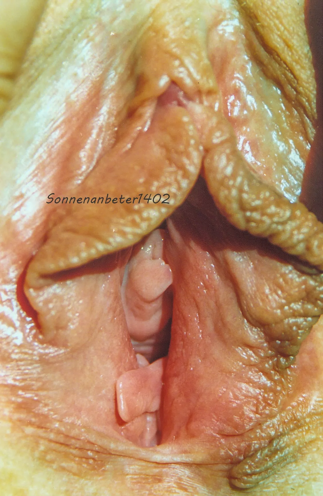 My wife's pussy (Scan) My wife's pussy (Scan)