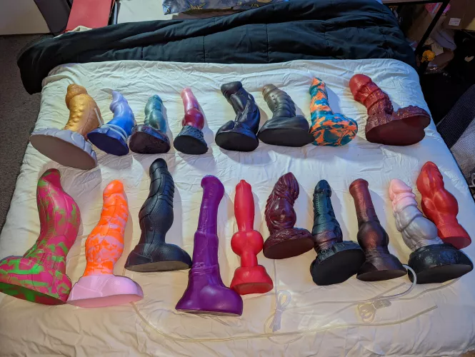 My XL and Large family. Two more are on the way.