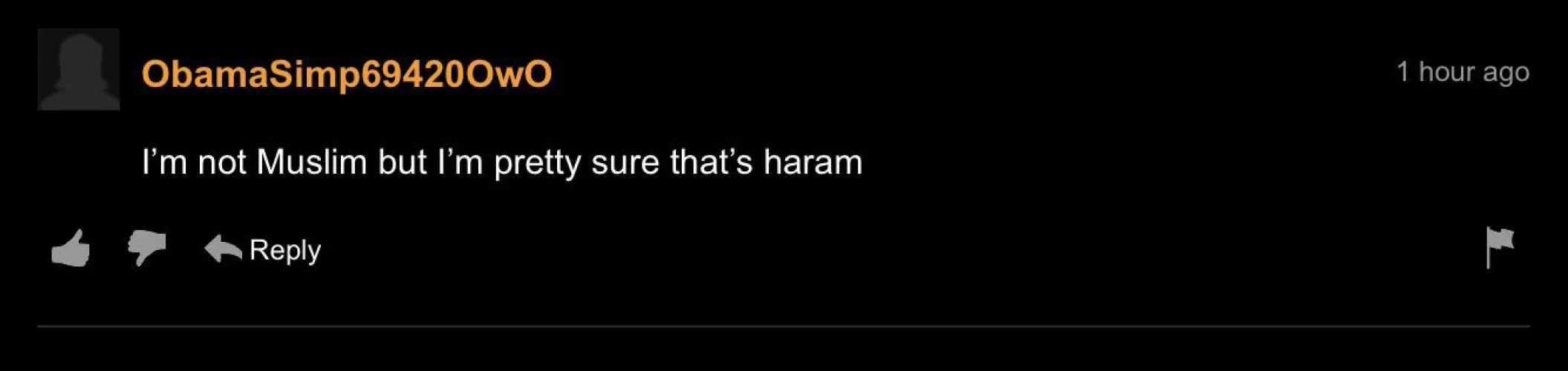 Nah thatโs halal