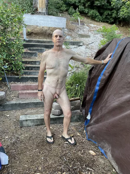 Naked Freedom Naked Freedom
