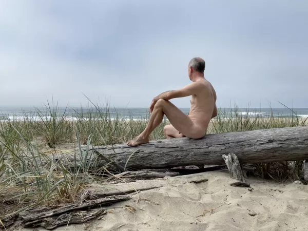 Naked Sitting on a Log Adventure Naked Sitting on a Log Adventure