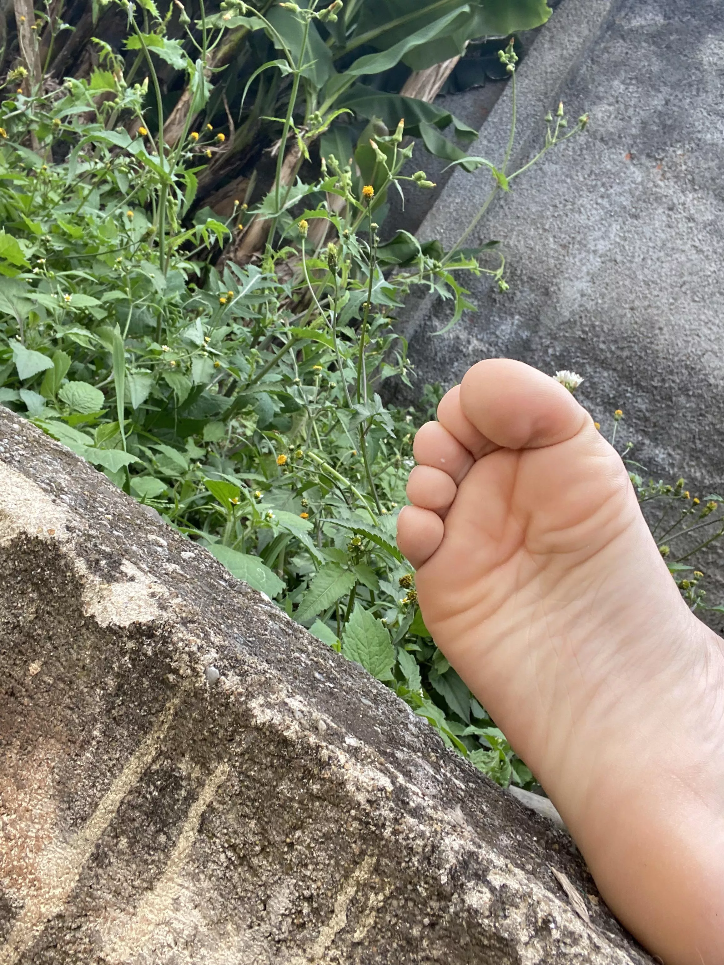 nature feet, they wild π come play dirty w them. π dms/pms r welcome nature feet, they wild π come play dirty w them. π dms/pms r welcome