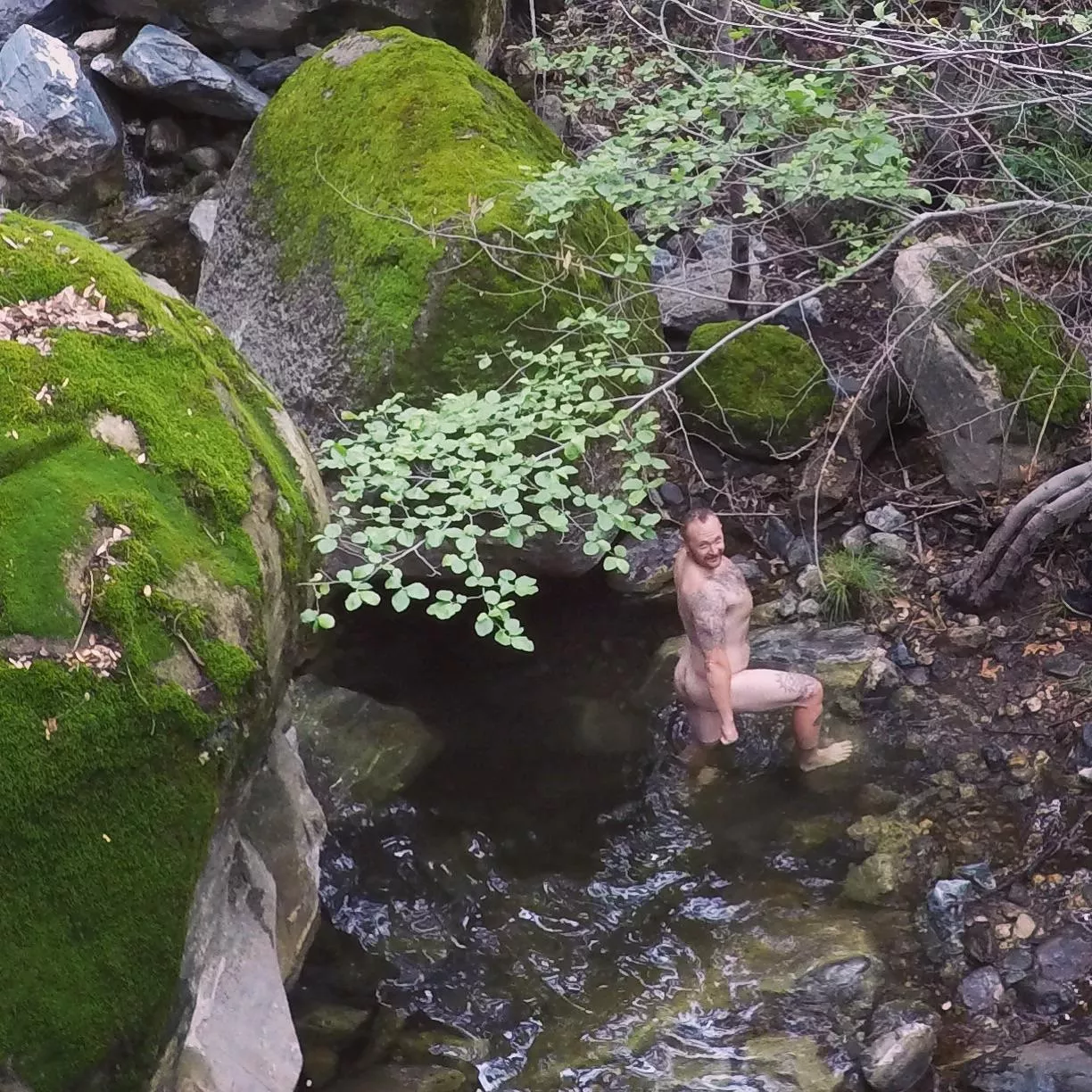 Natures Nudie Cuties Natures Nudie Cuties