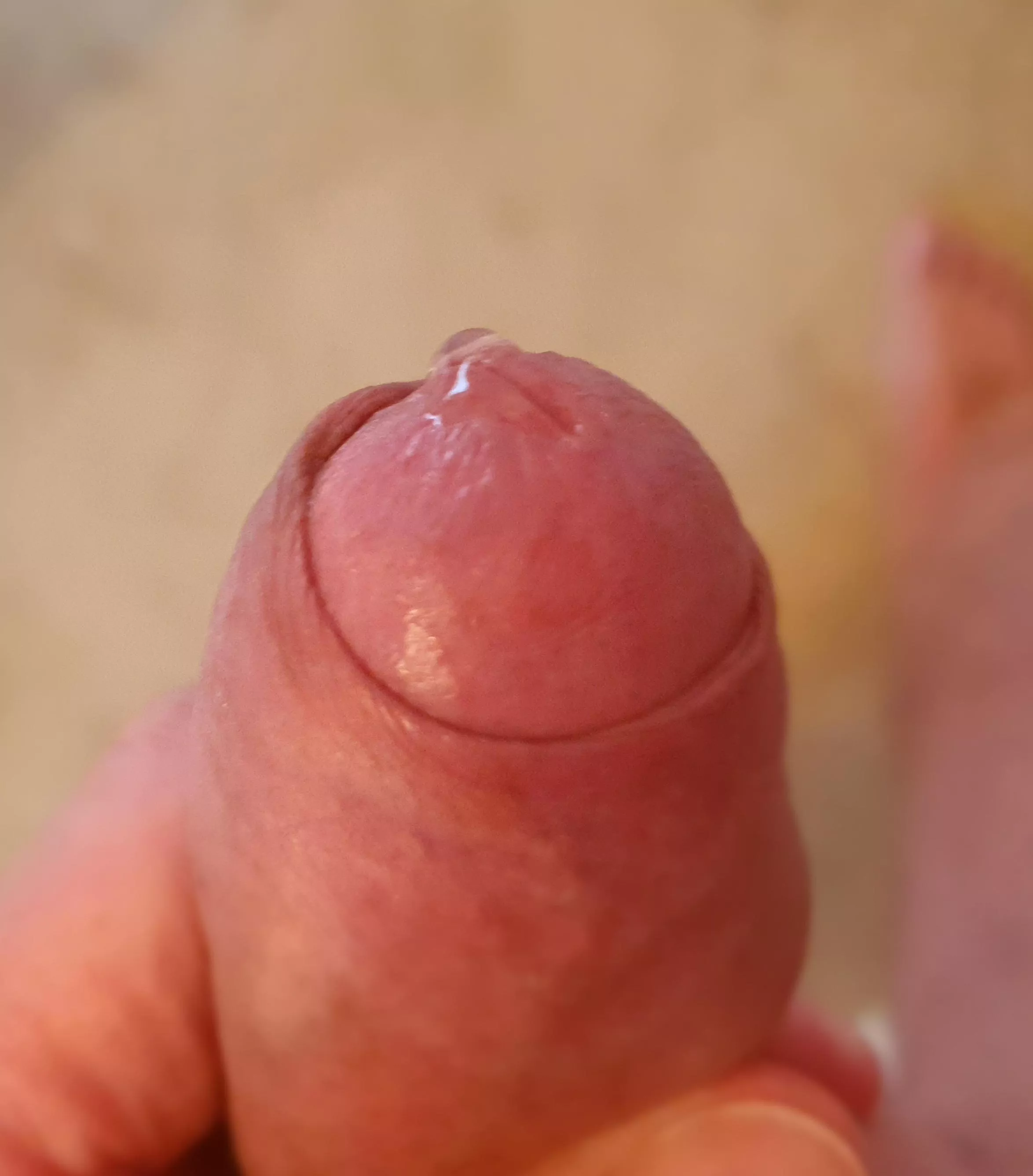 Nectar, first clear drop