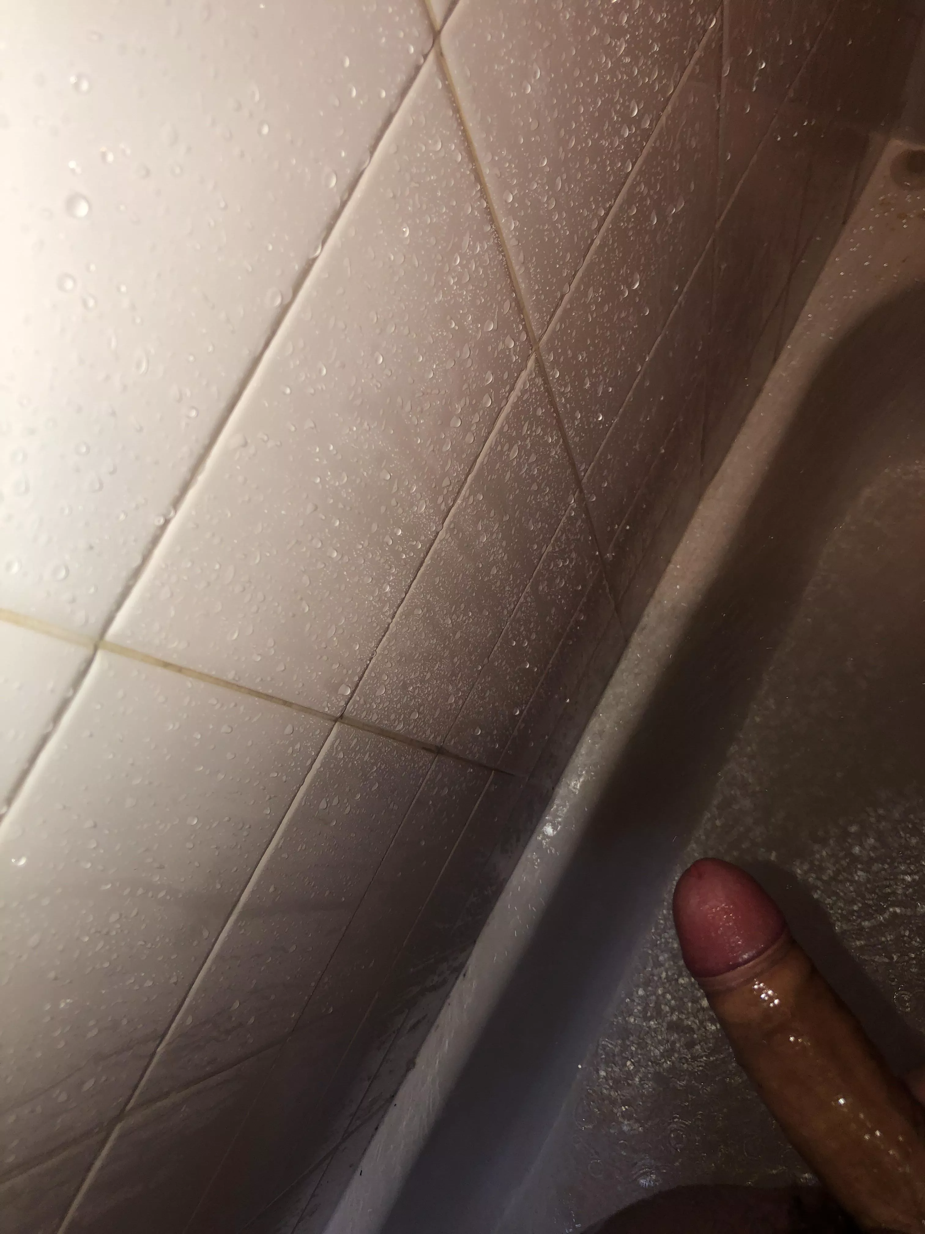 Need a beautiful trans woman in my life 🤩 21 m