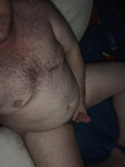 Need a big hairy bear in bed to play with
