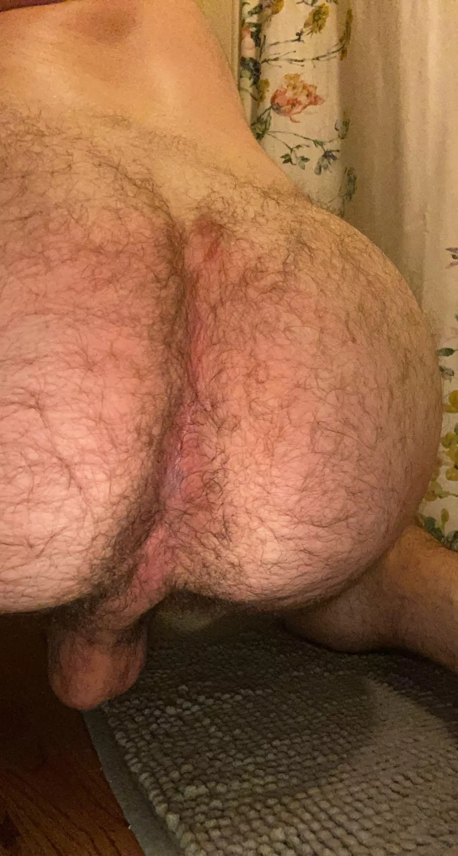 Bears ass porno