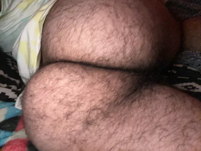 need a bro to take care of my ass for me