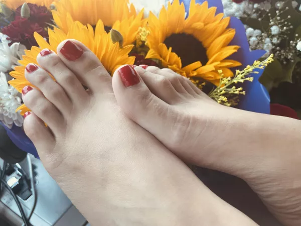 Need a foot rub Need a foot rub