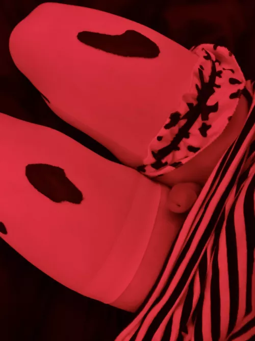 need a little goth to come sit on your lap? 🖤