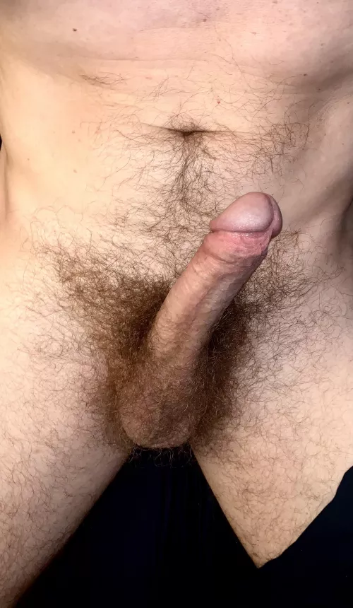 Need a morning servant