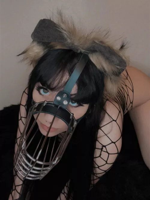 Need a pet?