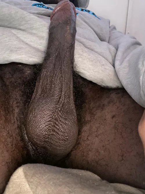 Need a sexy bbw