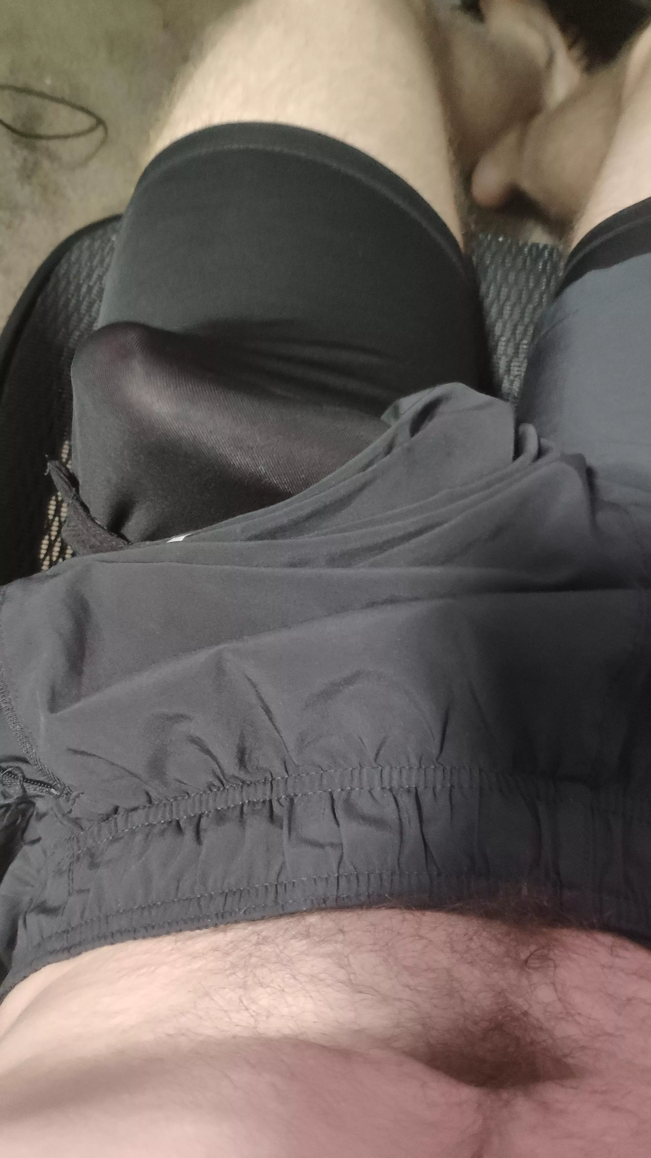 Need someone so sit on my lap so I can hide it