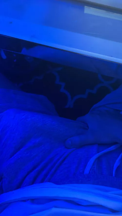 need someone to give me head under the desk